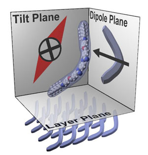 Chiral coordinate system for banana liquid crystals