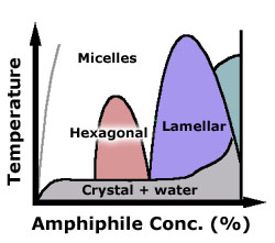 Soap phase diagram