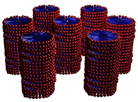 Surfactant hexagonal columnar phase
