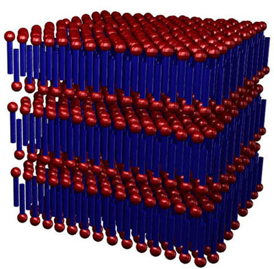 Surfactant lamellar phase