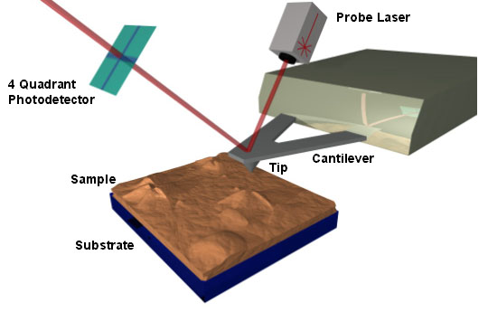 Schematic of an atomic force microscope