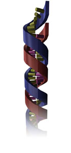 DNA