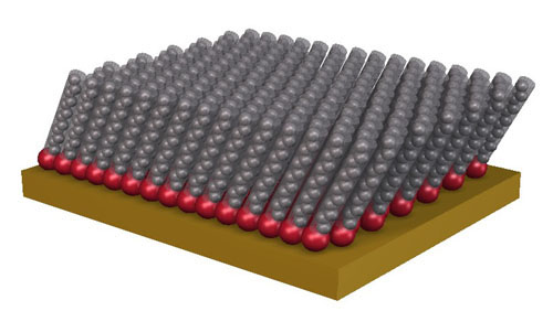 A self-assembled monolayer of alkane-thiols on gold